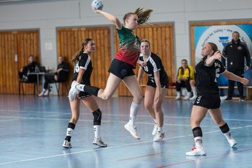 Bild 269 - wBJ HSG Kremperheide/Muensterdorf - HSG Joerl-Doppeleiche Vioel : Ergebnis: 34:23